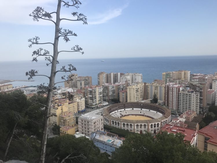 Arène de Malaga